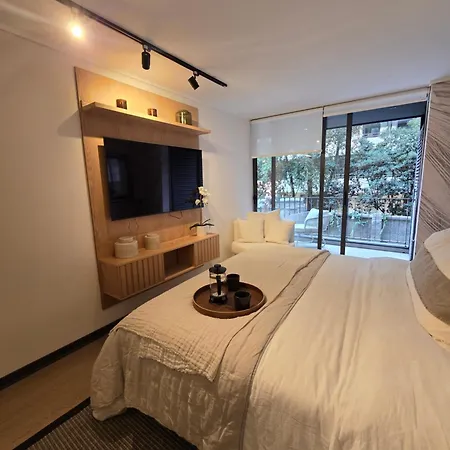 Hermoso Departamento Providencia Cercano A Bellavista Y Barrio Italia